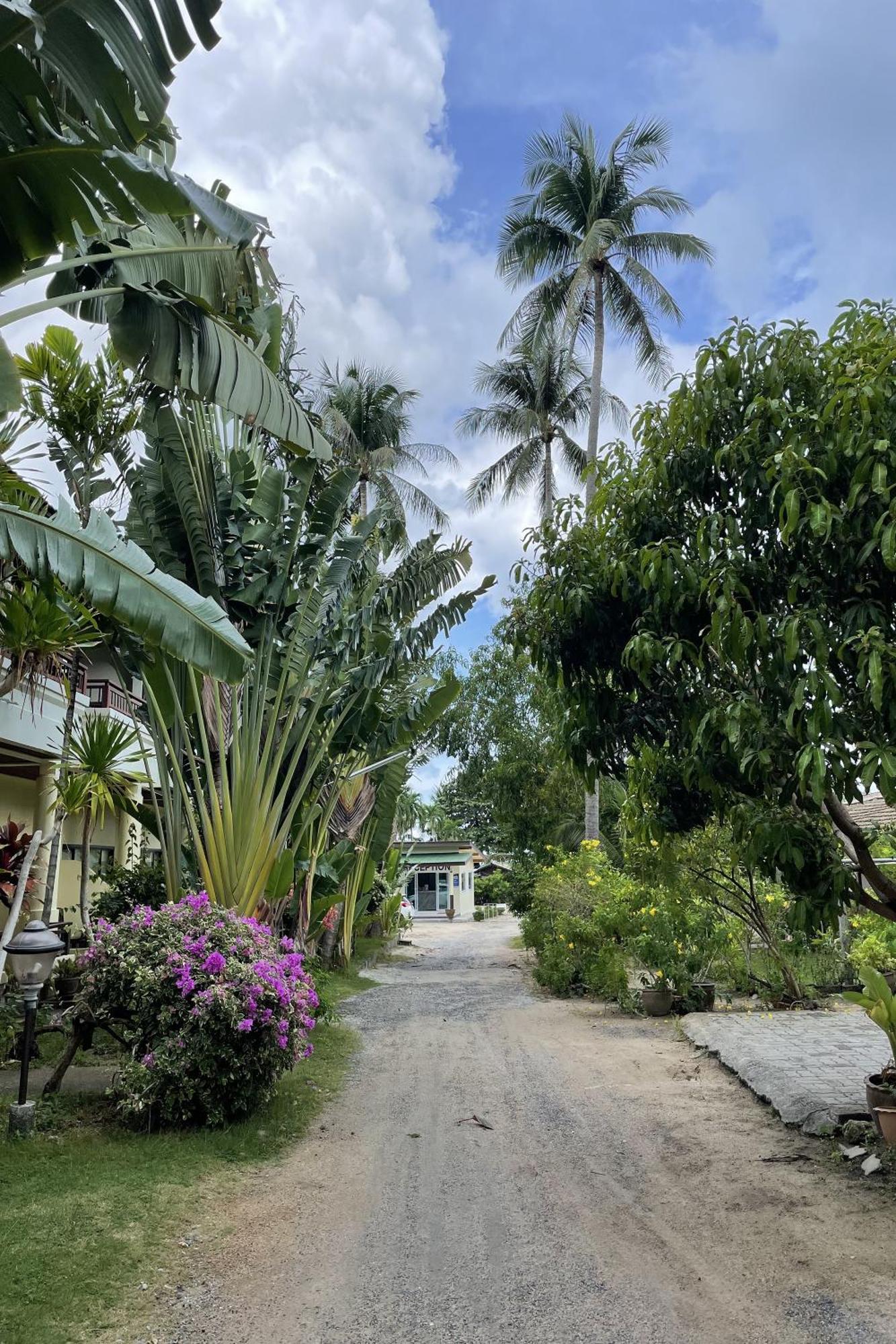 לאמאי ביץ' Sea Breeze Bungalow מראה חיצוני תמונה